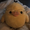 💛🐥Pollitos bonitos🐥💛 14