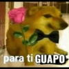 Ya quisieras gato😂 7