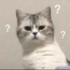 ? ? ?