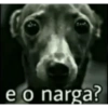 E o narga? 6