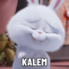 KALEM