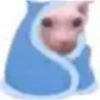Nao 26