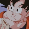 Goku  27