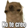 No te creo