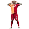 Galatasaray Çıkartmalarım 19