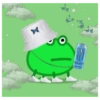 Rana de Peppa pig 2 12