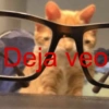 😎 STICKERS SHITPOST 16 🤙 8