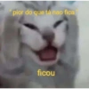 Gatinhos  21