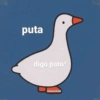 puta digo pato* @kuromiksad