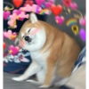 💕💕 EXPLOSIÓN DE AMOR 💕💕 8