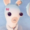 RABBIT  10