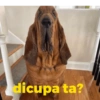 Rizzo, não pegue  8