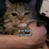 Meme kucing core 🐈 8