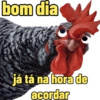 Bom dia engraçado 8