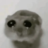 ANIMALITOS 🥺☀️ 30