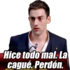 Hice todo mal. La cagué. Perdón.