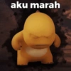 aku marah