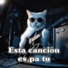 🧿 Anima tu chat😂😋 23