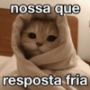 Gatinhos  5