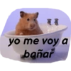 Memes del pro 10