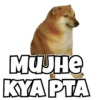 Dogs Funny Reactions  7