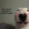 😎 STICKERS SHITPOST 12 🤙 11