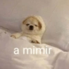 Perritos para contestar 🐕🐾 13