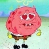 Sponge Bob 5