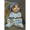 Cats 5