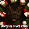Navidad Bulldog templates🐾🎄✨ 9