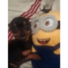 Minions Reacciones 💛 15