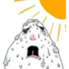 Hamster 6 12