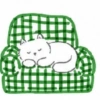 🧿 Gato Relax🐱🐈 8