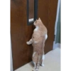 Gatinhos  26