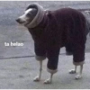 😎 STICKERS SHITPOST 12 🤙 6