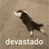 😎 STICKERS SHITPOST 16 🤙 11