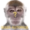 ?
QUIZÁ AUTORICE