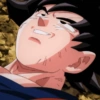 Goku  11