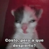 Costo, pero a que despierto?