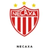 Liga Mexicana MX 9