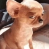 ANIMALITOS 🥺☀️ 25