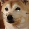 Animales divertidos 2 6
