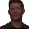 SPN Family 10
