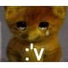 Nao 24