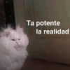 Ta potente la realidad