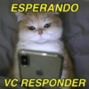 Gatinhos  17