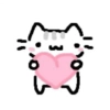 Kitty 14