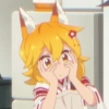 Senko 11