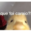 que foi caraio?!