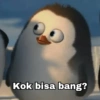 Meme Penguin (2) 15